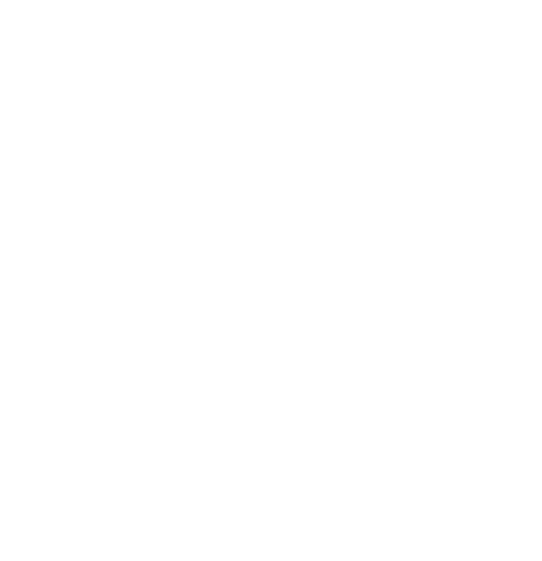 Rize Athletic Academy logo